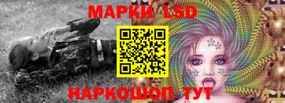 apvp Бердск