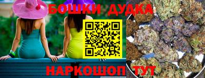 apvp Бердск