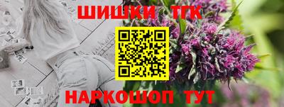apvp Бердск