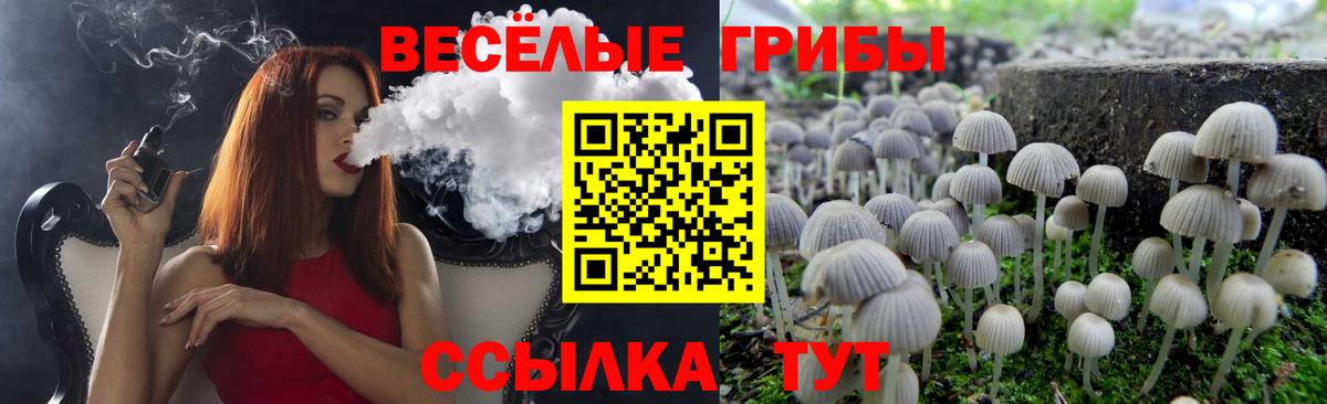 Богданович  Псилоцибиновые грибы мухоморы  магазин продажи   Вход с VPN 